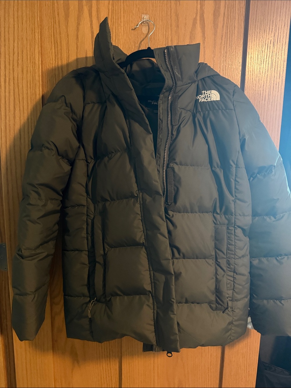 The North Face Women’s Gotham Jacket